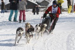 Lenk 2012 SM